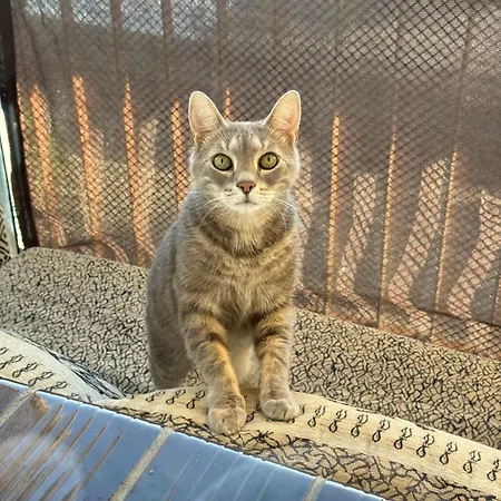 Ubytování v soukromí Chocisza Moonsky