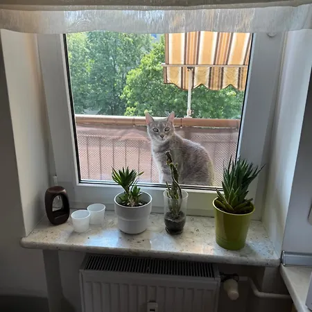 Chocisza Moonsky Poznaň